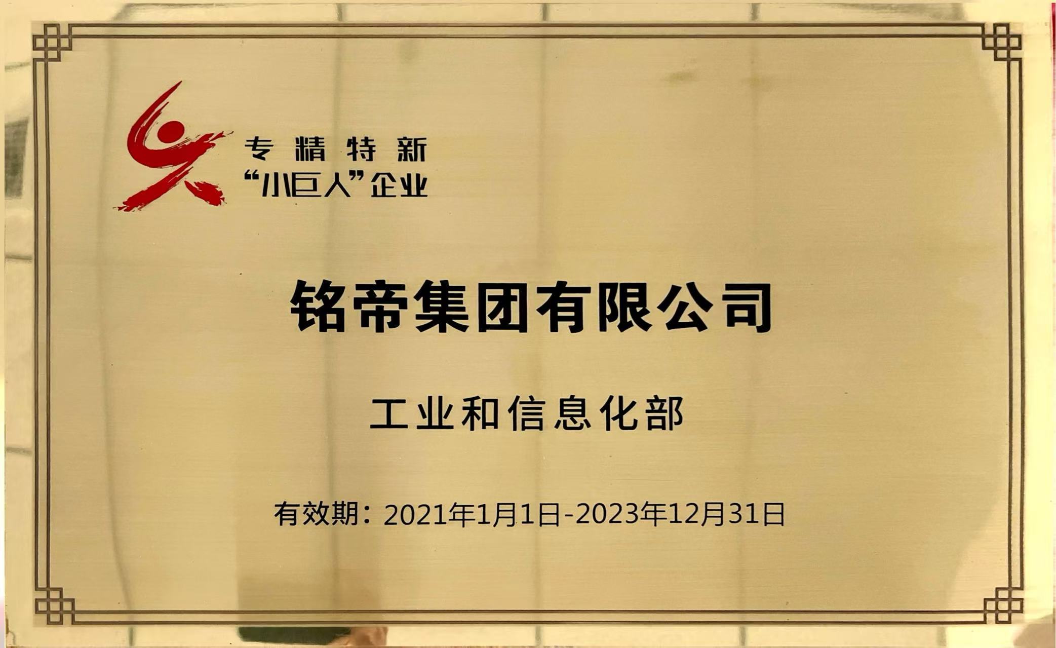 专精特新“小巨人”企业